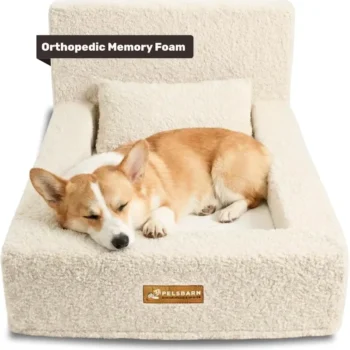 Orthopedic High-Density Memory Foam Dog Bed
